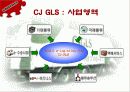 CAS사의 CJ-GLS를 통한 물류혁신사례 조사 및 분석 17페이지