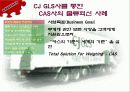 CAS사의 CJ-GLS를 통한 물류혁신사례 조사 및 분석 18페이지