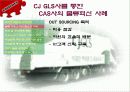 CAS사의 CJ-GLS를 통한 물류혁신사례 조사 및 분석 19페이지