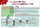 CAS사의 CJ-GLS를 통한 물류혁신사례 조사 및 분석 20페이지