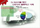 CAS사의 CJ-GLS를 통한 물류혁신사례 조사 및 분석 21페이지