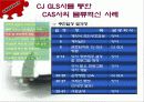 CAS사의 CJ-GLS를 통한 물류혁신사례 조사 및 분석 24페이지