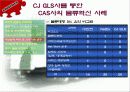 CAS사의 CJ-GLS를 통한 물류혁신사례 조사 및 분석 25페이지