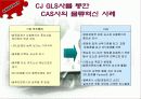 CAS사의 CJ-GLS를 통한 물류혁신사례 조사 및 분석 27페이지