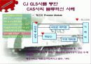 CAS사의 CJ-GLS를 통한 물류혁신사례 조사 및 분석 28페이지