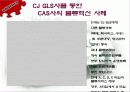 CAS사의 CJ-GLS를 통한 물류혁신사례 조사 및 분석 30페이지
