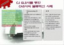 CAS사의 CJ-GLS를 통한 물류혁신사례 조사 및 분석 33페이지