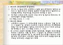 아동복지법 분석 및 비평 26페이지