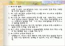 아동복지법 분석 및 비평 29페이지