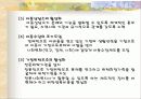 아동복지법 분석 및 비평 36페이지