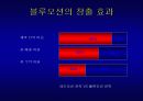  요약 - 파워포인트 발표 자료 4페이지