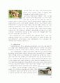 한국의 세계문화유산 20페이지