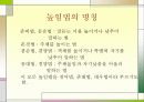 한국어의 구조 높임법 조사 3페이지