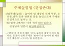 한국어의 구조 높임법 조사 9페이지