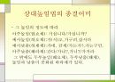 한국어의 구조 높임법 조사 13페이지