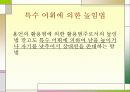 한국어의 구조 높임법 조사 19페이지