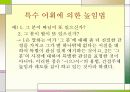 한국어의 구조 높임법 조사 23페이지