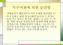 한국어의 구조 높임법 조사 27페이지