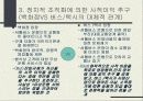 규제의 정치적 과정 13페이지