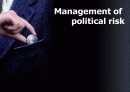 [정치적 위험]기업에서 정치적 위험의 영향 1페이지