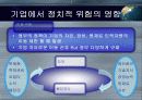 [정치적 위험]기업에서 정치적 위험의 영향 17페이지