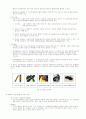 Radio Frequency Identification 4페이지