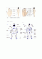 스포츠 마사지 해부학 7페이지