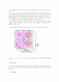 지식의 개념․종류․창조 12페이지