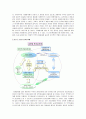 (중소기업론) 중소기업 전자무역 활성화방안 2페이지