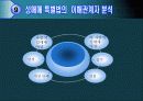 성매매 특별법에 대한 고찰 (발표용 파워포인트) 9페이지