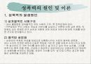 성폭력에 대한 발표자료 35페이지