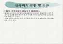 성폭력에 대한 발표자료 38페이지