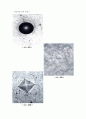 금속 재료(Fe, Al)의 경도측정 및 조직관찰 7페이지