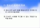 우리나라 청소년 육성정책과 제도 11페이지