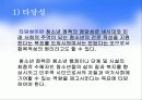 우리나라 청소년 육성정책과 제도 14페이지