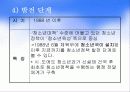 우리나라 청소년 육성정책과 제도 26페이지