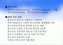 우리나라 청소년 육성정책과 제도 36페이지