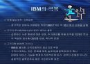 정보화 시대의 거인 IBM 6페이지