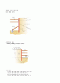 흙막이 공법에 대하여 5페이지