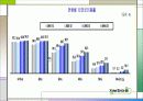 행정정보체계론-정보화 마을 11페이지