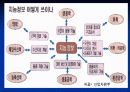 생명공학의 역사와 줄기세포 12페이지