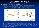 생명공학의 역사와 줄기세포 13페이지