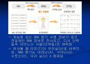 생명공학의 역사와 줄기세포 17페이지