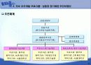 국내 우주개발 현황 및 전망 25페이지