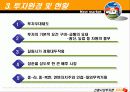 신흥시장투자론-기림성 11페이지