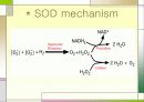 MND(Lou Gehrig’s disease -근위축성 측삭 경화증-) 10페이지