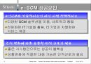 SCM 경영혁명 - MANNER1HO 31페이지