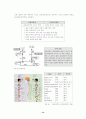 신경계의 구조와 기능 13페이지