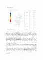 빛에 대한 요약정리 1페이지