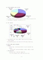 인터넷시장연구 9페이지